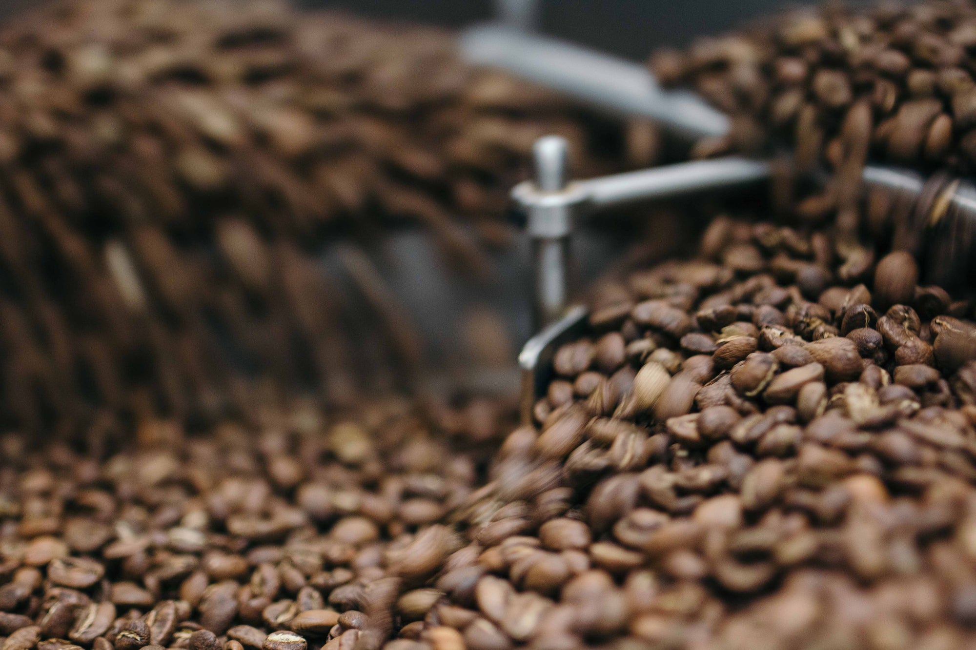 How to Choose the Right Coffee Roast