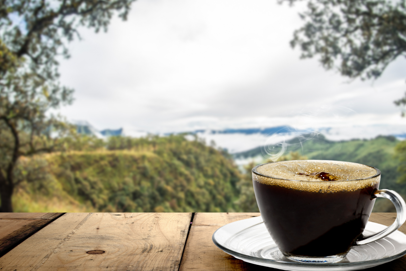 Unlocking the Flavor Secrets: A Guide to Understanding Different Types of Coffee Beans