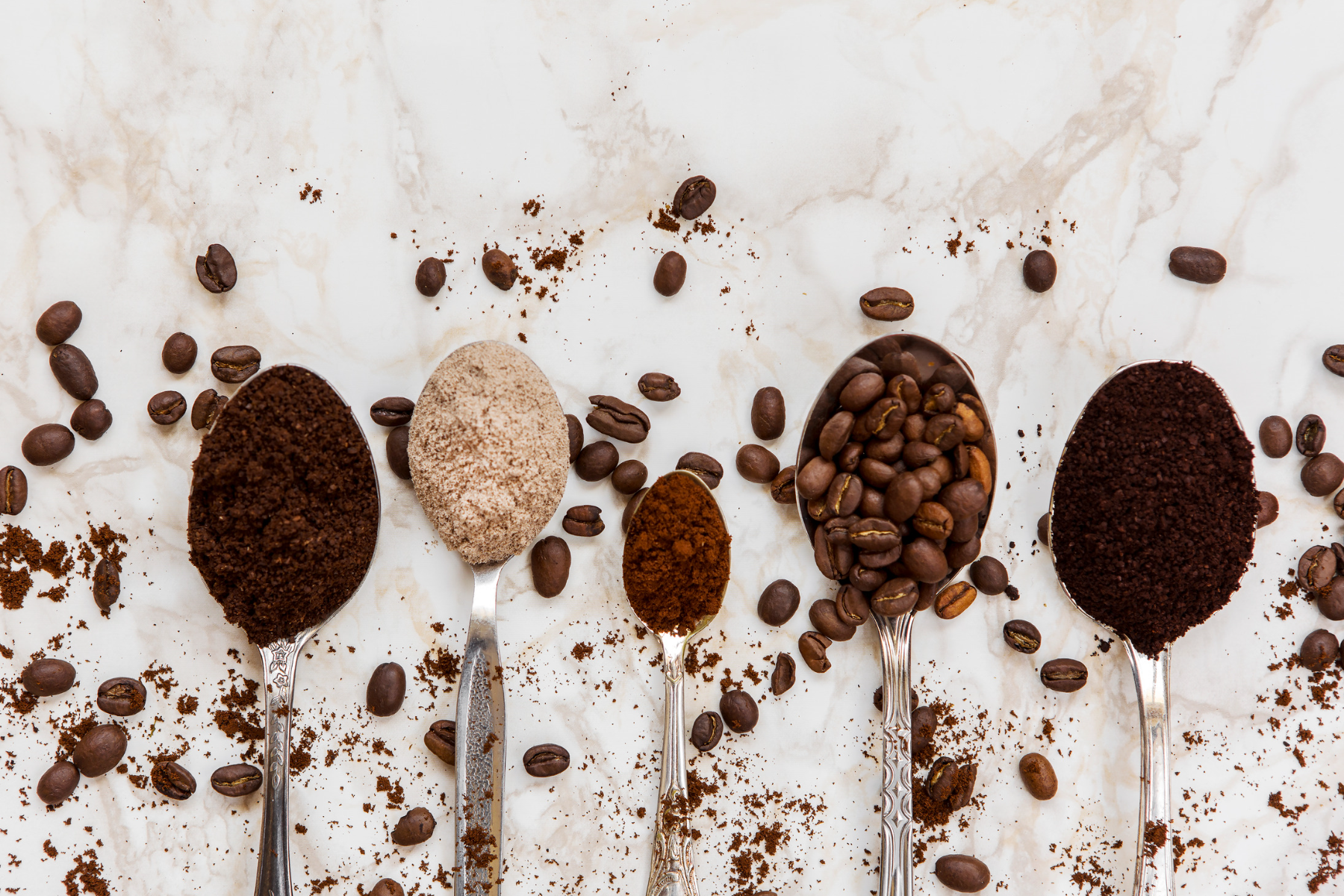 Everything You Need to Know About Coffee Roast Levels